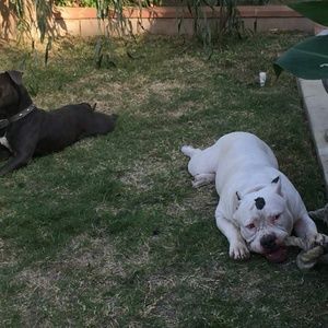 Meet your Posher, Dewayne